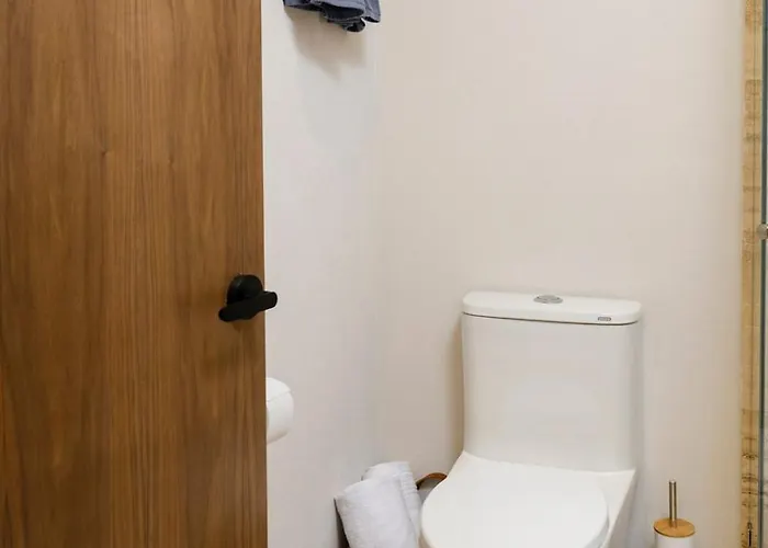 Apartment Style And Comfort In Roma Norte *
