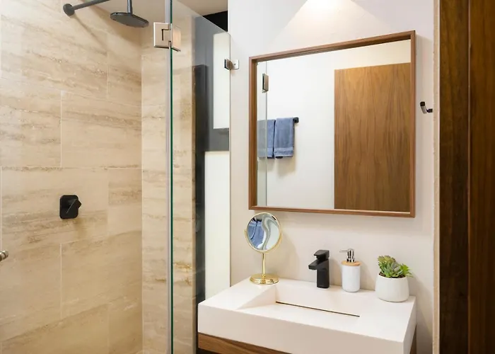 Apartment Style And Comfort In Roma Norte